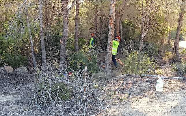 RC Image3 Desbroce monte