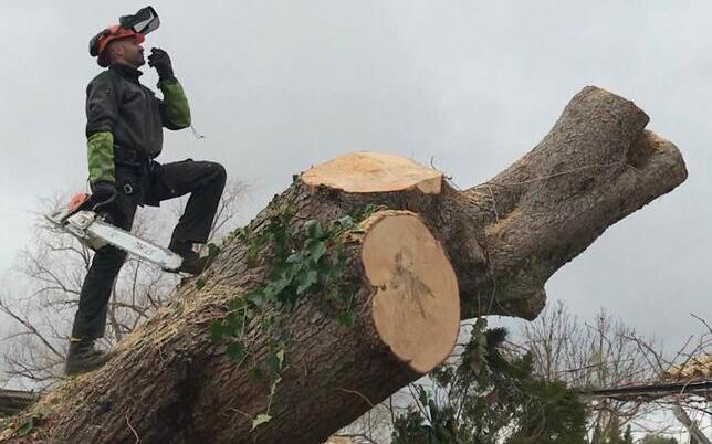 RC Image4 Limpieza montañas